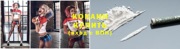 тгк Алзамай