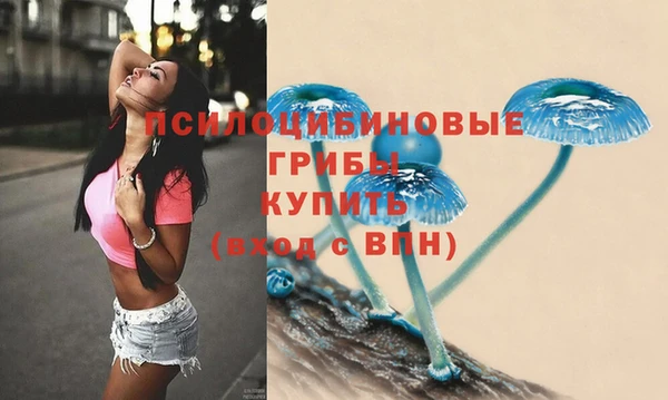 тгк Алзамай