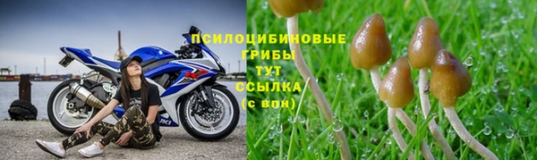 тгк Алзамай