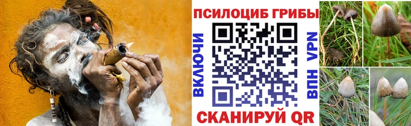 закладка Новоузенск Галлюциногенные грибы мухоморы